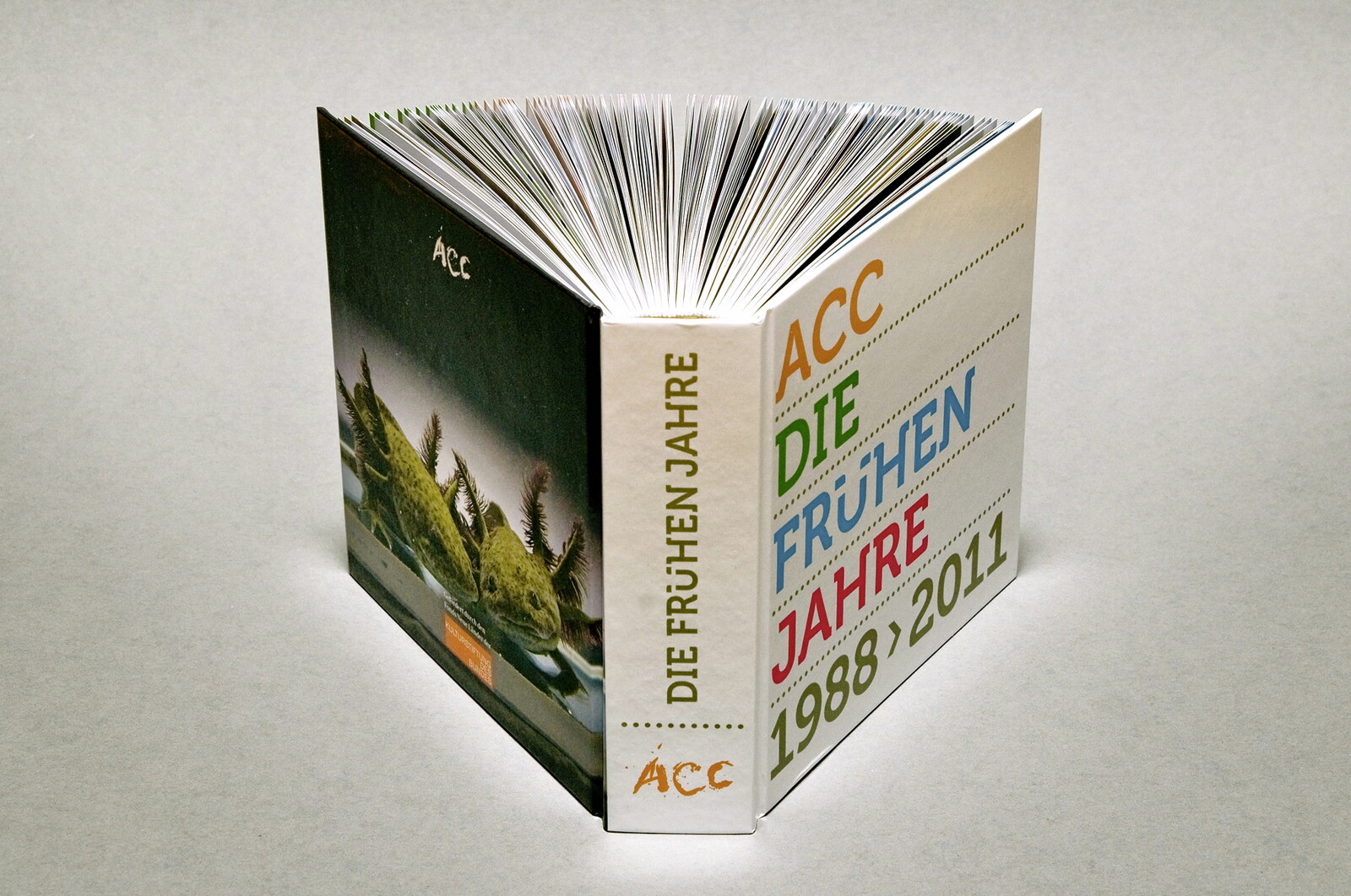Katalog: ACC - Die frühen Jahre 1988 > 2011