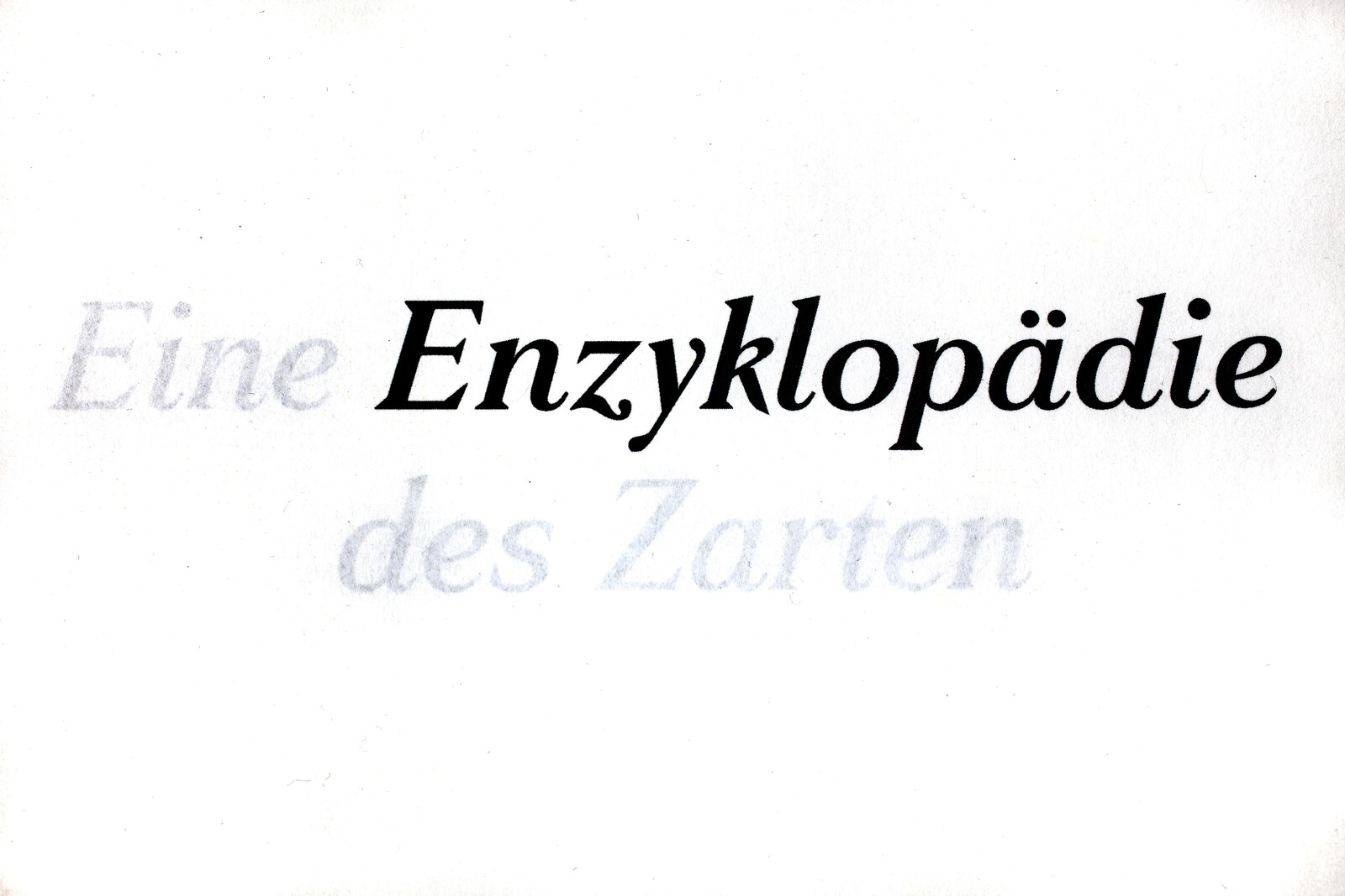 Berührendes von Anne Brannys über die Enzyklopädie des Zarten am 28.1., René Moritz