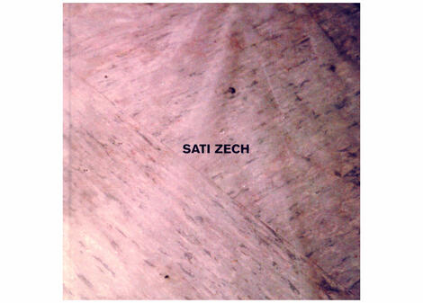 Cover Katalog Sati Zech